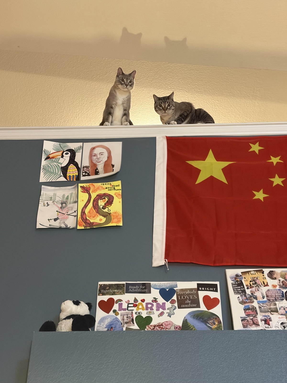 Simba and Tiger on a high ledge, with large cat-shaped shadows above them